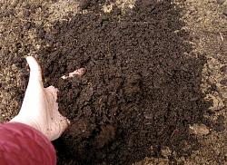 Click image for larger version. 

Name:	soil.jpg 
Views:	273 
Size:	71.8 KB 
ID:	1124