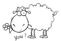 Name:  sheep.jpg
Views: 956
Size:  27.8 KB