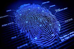 Click image for larger version. 

Name:	Fingerprint.jpg 
Views:	717 
Size:	65.4 KB 
ID:	6681