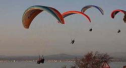 Click image for larger version. 

Name:	hangliders.jpg 
Views:	1081 
Size:	9.5 KB 
ID:	6713
