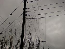 Click image for larger version. 

Name:	Photo-0010.jpg 
Views:	306 
Size:	59.2 KB 
ID:	7806