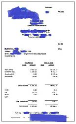 Click image for larger version. 

Name:	PaySlip Sample.jpg 
Views:	165 
Size:	45.6 KB 
ID:	8391