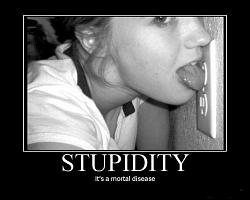 Click image for larger version. 

Name:	stupidity.jpg 
Views:	270 
Size:	30.5 KB 
ID:	1447