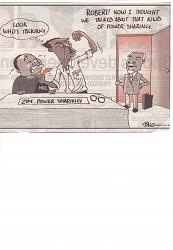 Click image for larger version. 

Name:	Mugabe.jpg 
Views:	376 
Size:	29.4 KB 
ID:	2490