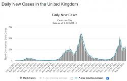 Click image for larger version. 

Name:	UK-dailyNewCases.jpg 
Views:	146 
Size:	58.4 KB 
ID:	8270