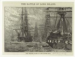 Click image for larger version. 

Name:	The_British_fleet_in_the_lower_bay_1876.jpg 
Views:	210 
Size:	93.8 KB 
ID:	2837