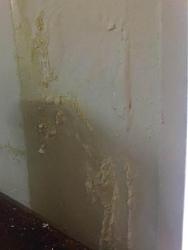 Click image for larger version. 

Name:	Water damage 2 C.jpg 
Views:	355 
Size:	17.4 KB 
ID:	2185