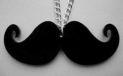 Click image for larger version. 

Name:	moustache-necklace-black-500x500.jpg 
Views:	237 
Size:	23.9 KB 
ID:	2211