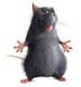 amadeoortegon's Avatar