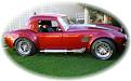 Click image for larger version

Name:	cobra11.jpg
Views:	408
Size:	19.5 KB
ID:	268652