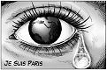 Click image for larger version

Name:	je suis.jpg
Views:	467
Size:	87.3 KB
ID:	269457